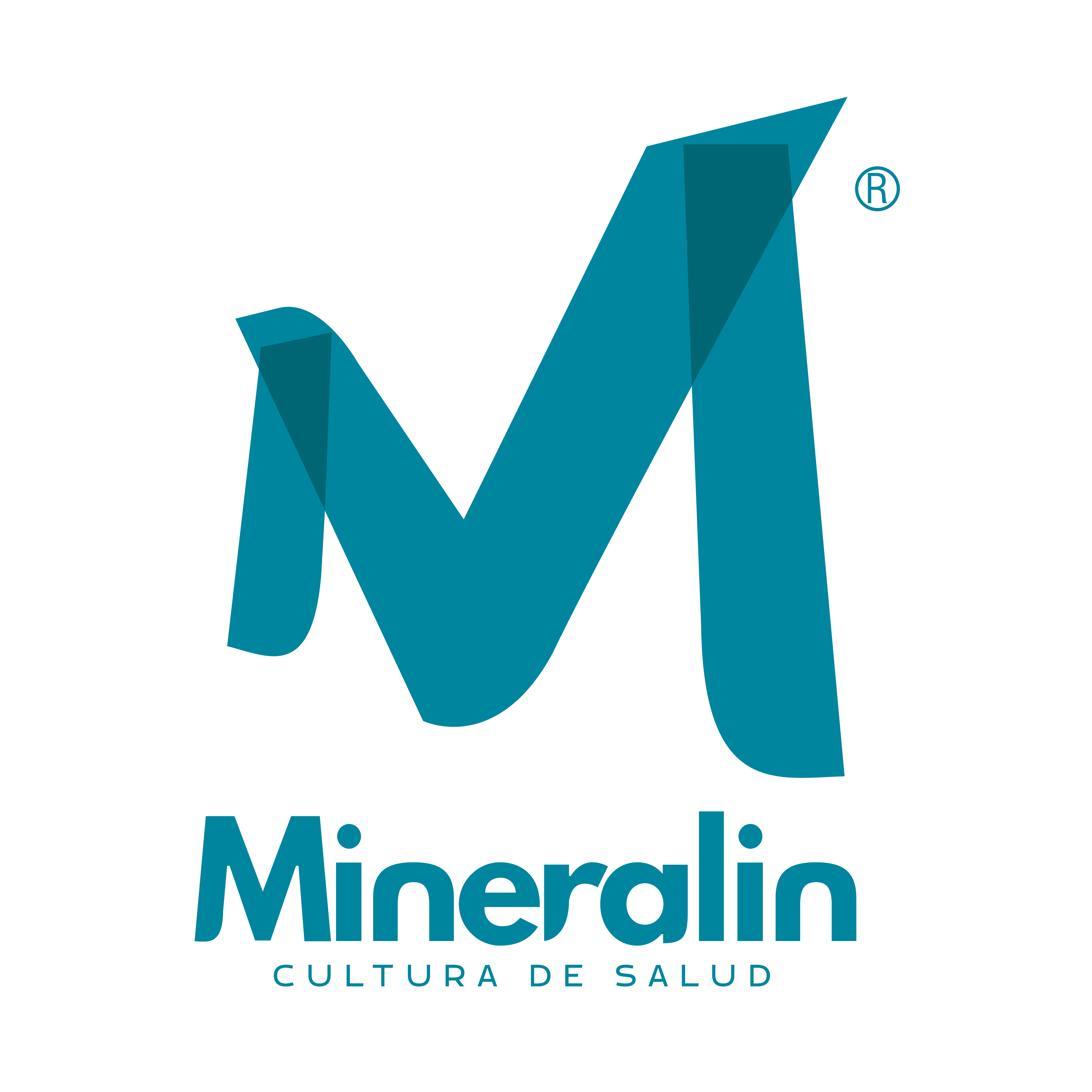 Tienda Virtual Mineralin
